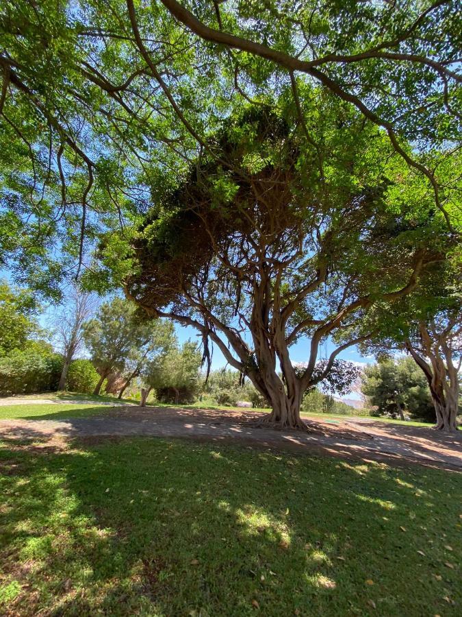Apt Con Espectacular Vista, Piscinas, Recep 24 Hs 贝纳尔马德纳 外观 照片